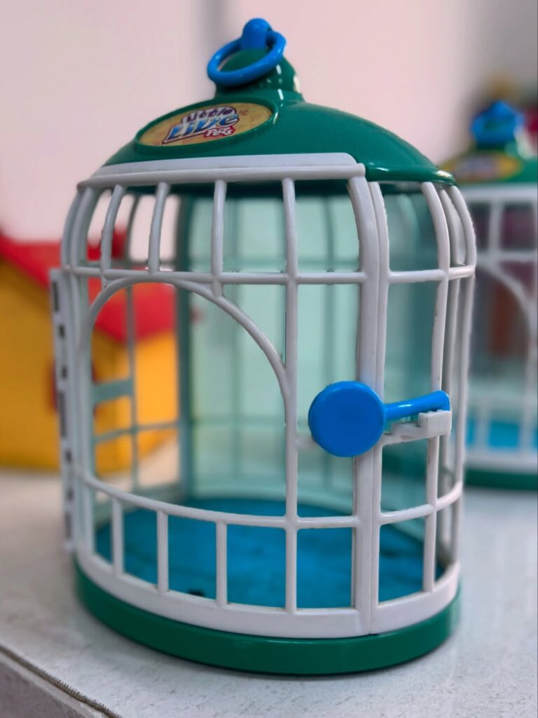 SnapInsta.to_539960674_18075338606088064_6165810466817052249_n